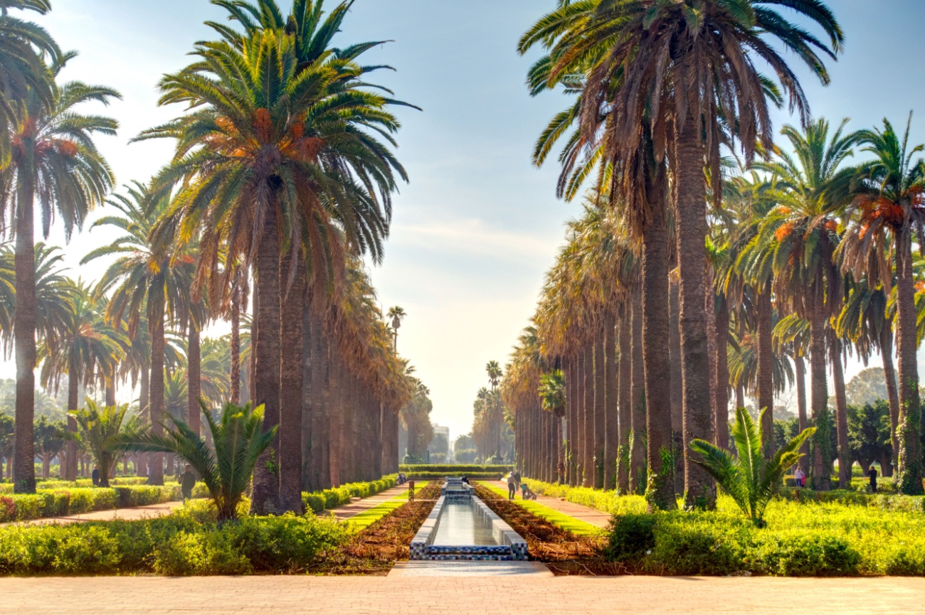 Chauffeur privé pour excursion de croisière à Casablanca