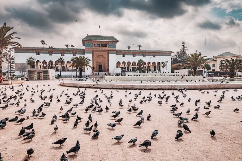 Chauffeur privé pour excursion de croisière à Casablanca